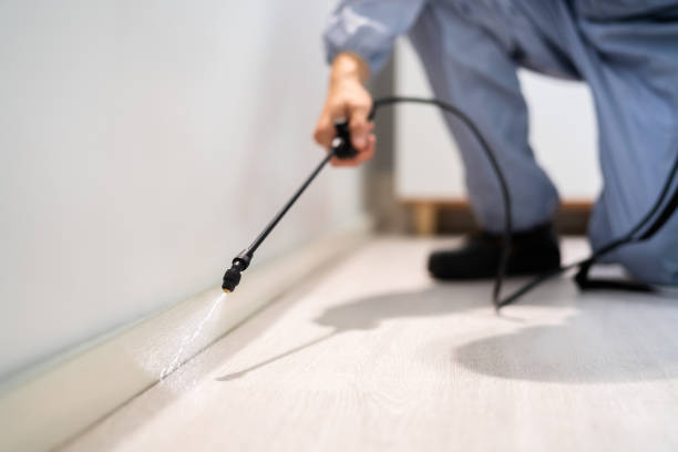 Licensed Pest Control service in Prichard, AL - Show Me Pest Control