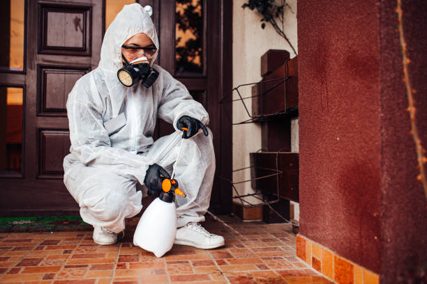 Reliable Ant Control contractor in Prichard, AL by Show Me Pest Control
